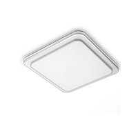 Flake 60w
