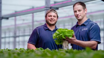 LED grow lights for lettuce and leafy greens