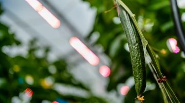 The LED lighting solution
