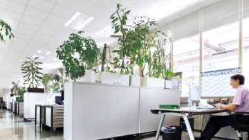 Área de escritório aberta na Bosch, Alemanha, iluminada pela Philips Lighting