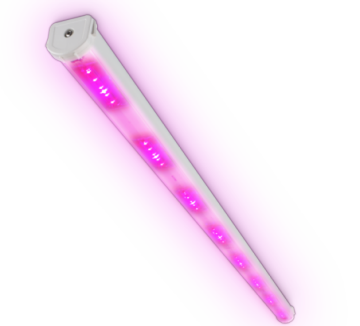 飞利浦 GreenPower LED 生产模块