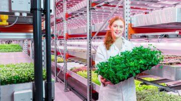 Las luces de crecimiento para hierbas aromáticas basadas en LED de Philips aumentan el rendimiento y mejoran el sabor