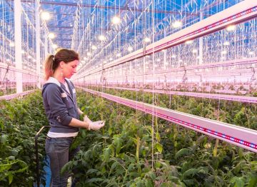 Creación de un entorno de cultivo optimizado
