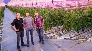 Tres hombres posan en el invernadero Van nature Jami iluminado con soluciones de Philips lighting