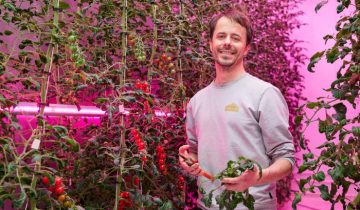 GrowWise – Intro