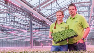 Growing lights for indoor plants