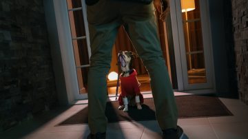 Um homem prestes a entrar pela porta da frente é aguardado por seu cachorro