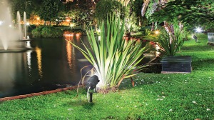 Solar garden lights