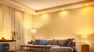 Blog image 3