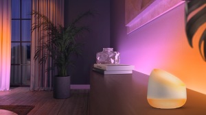 Pendant ceiling light in living room