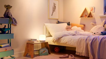 Ambiance lighting for winter