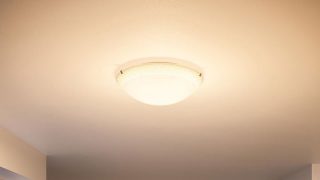 Mounted on the ceiling