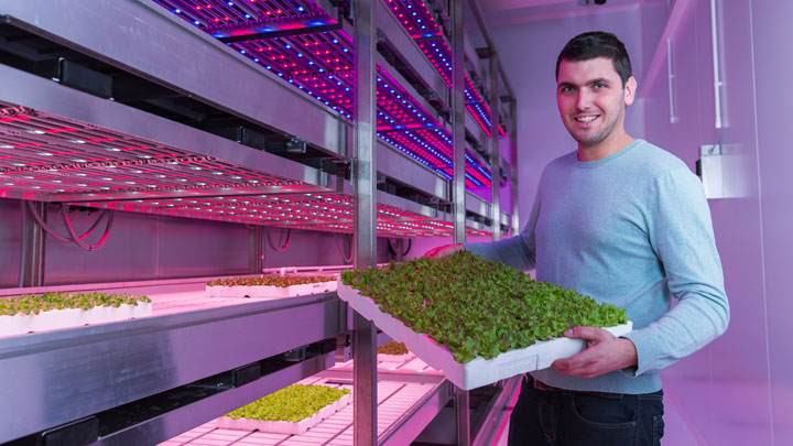 City farming