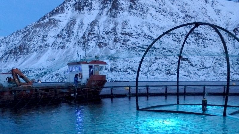 Fish farm with mountains in the background