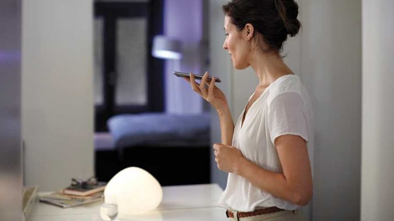 voice control
