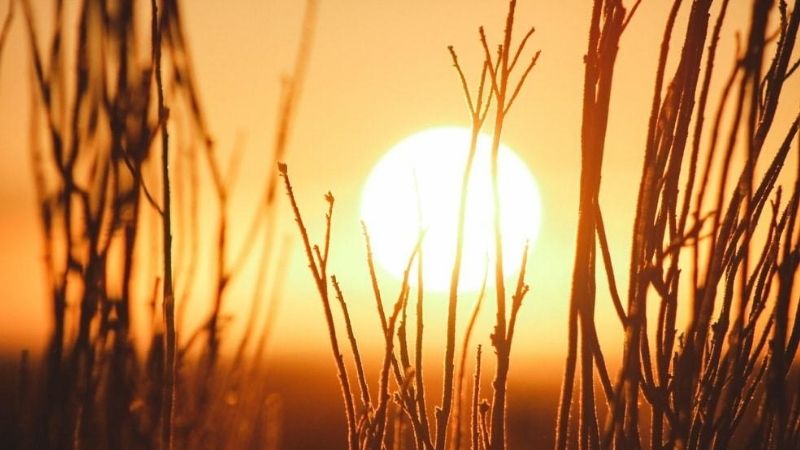 Sunshine &ndash; generic library