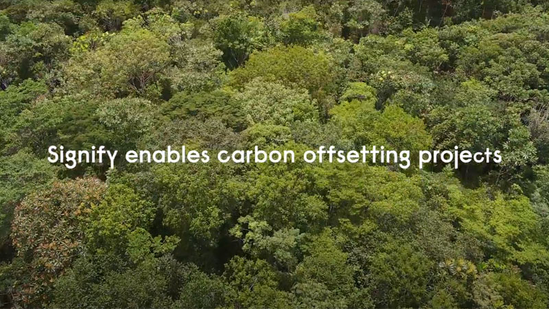 carbon offsetting projects