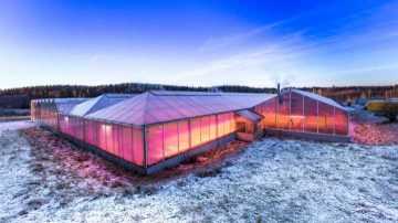 Greenhouse LED grow lights