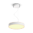 LED pendant lights