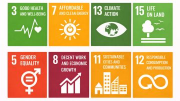 SDGs