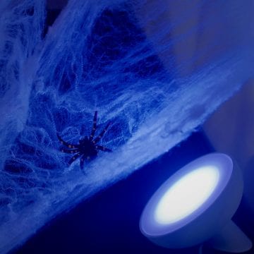 Halloween spider in web that is lit up by blue light 