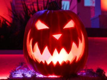 Pumpkin lit up by a Hue Go placed inside