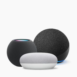 Voice control