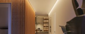 New from Philips Hue