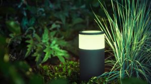 Bollard lamp placed within garden bushes