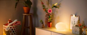 Philips Hue flourish table light white turned on