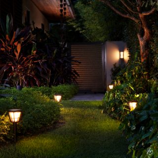 Smart LED outdoor wall spotlights
