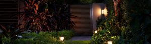 Outdoor pathway illuminated by soft garden lights, creating an ambient glow among plants and greenery leading to a gate.