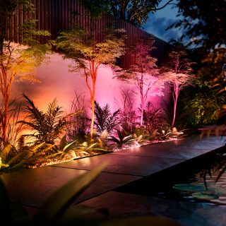 Una pared de jardín iluminada con apliques y focos en tonos rosa y naranja