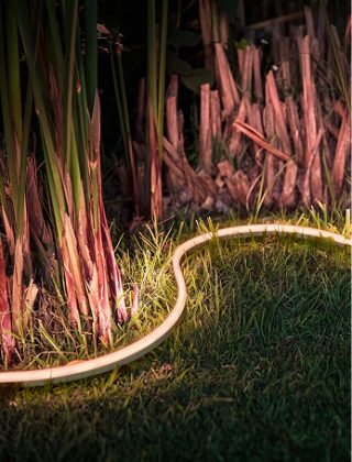 Une bande lumineuse à DEL extérieure Philips Hue installée autour d'un parterre de fleurs dans la cour arrière, diffusant des tons de lumière roses.