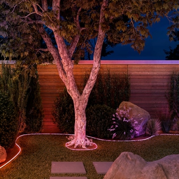 Un espace extérieur avec un arbre et un parterre de fleurs soulignés par des bandes lumineuses néon d’extérieur qui brillent dans des tons de lumière orange et rose. 