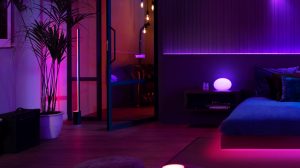 모든 Philips Hue 컬러 지원 조명과 호환됩니다